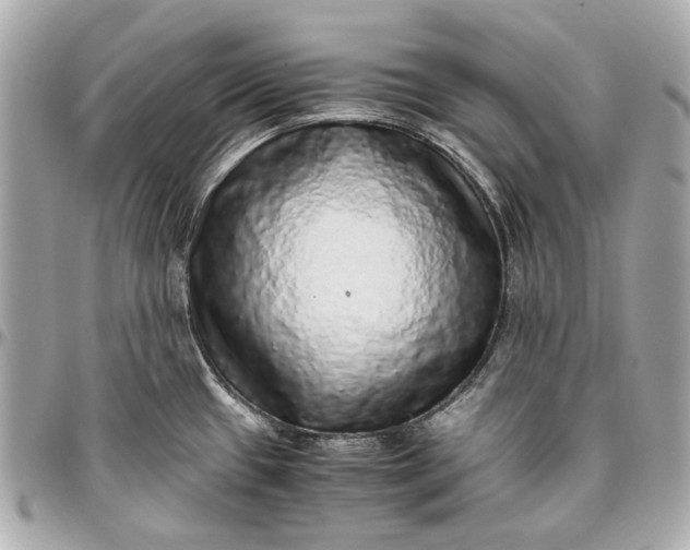 X0000097001433200802221511