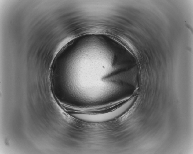 X0000097001434200802221511