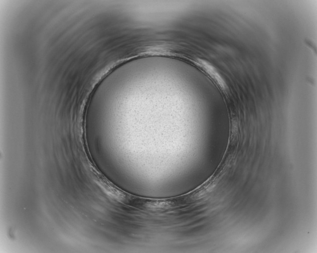 X0000097001435200802221511