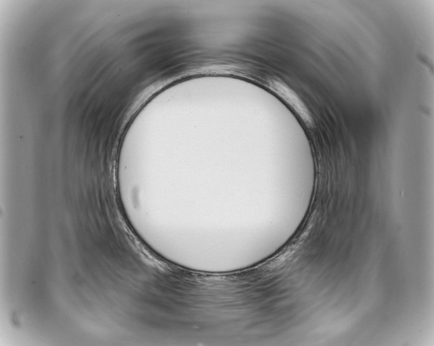 X0000097001436200802221511