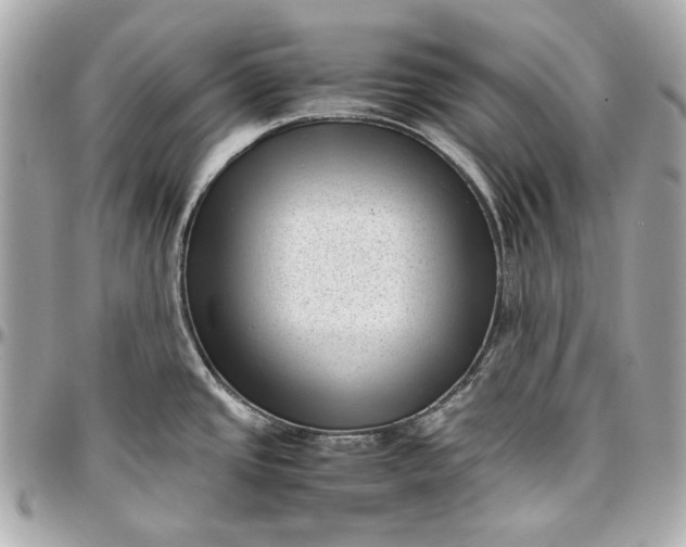 X0000097001437200802221511