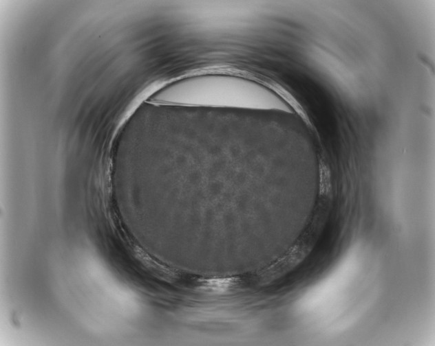 X0000097001438200802221511