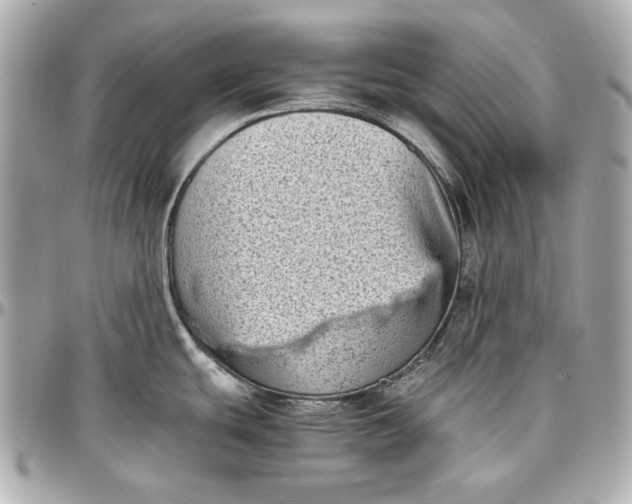 X0000097001439200802221511