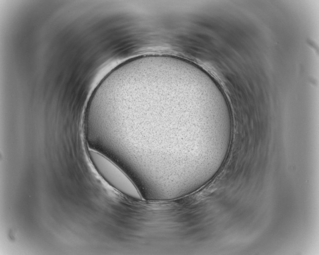 X0000097001440200802221511