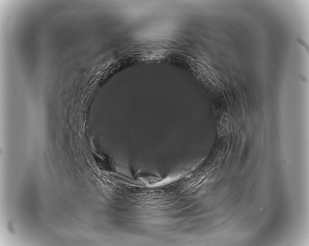 X0000097001441200802221511