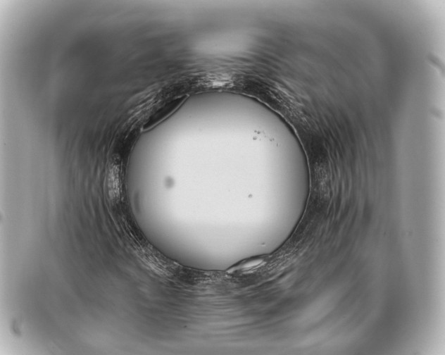 X0000097001442200802221511