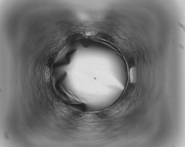 X0000097001443200802221511