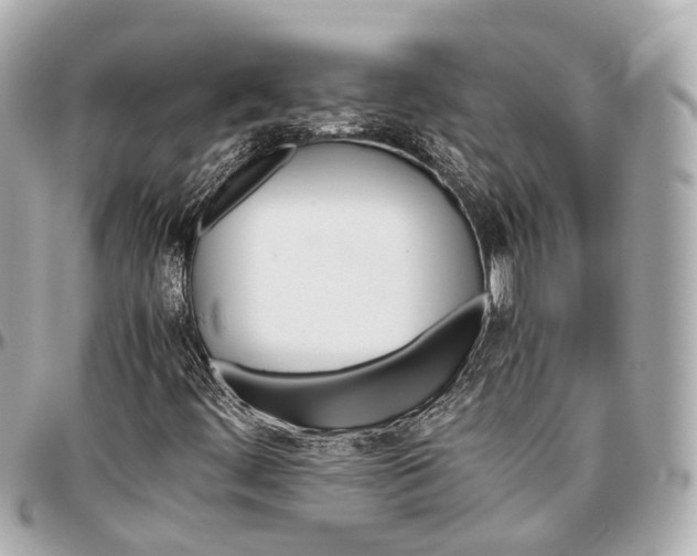 X0000097001444200802221510