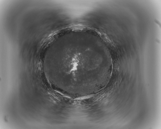 X0000097001445200802221510