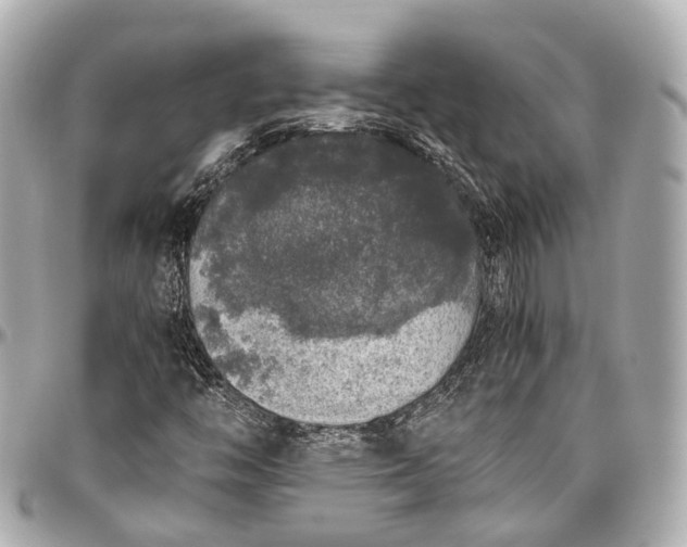 X0000097001446200802221510