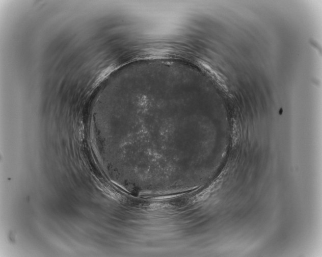 X0000097001449200802221510