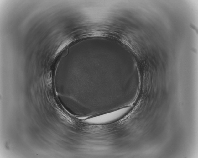 X0000097001450200802221510