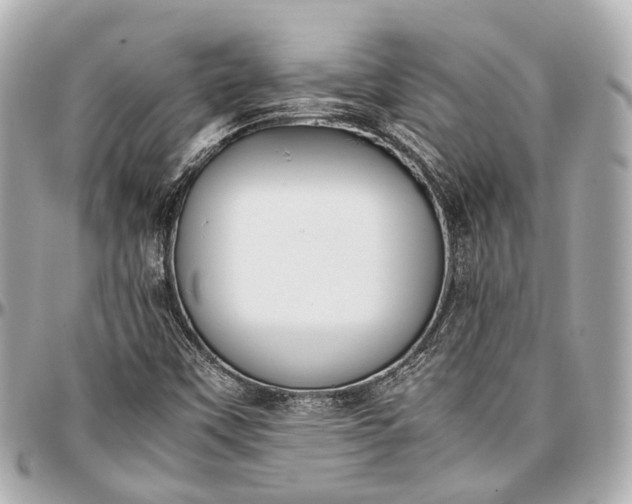 X0000097001451200802221510