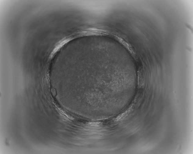 X0000097001453200802221510