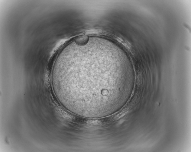 X0000097001454200802221510