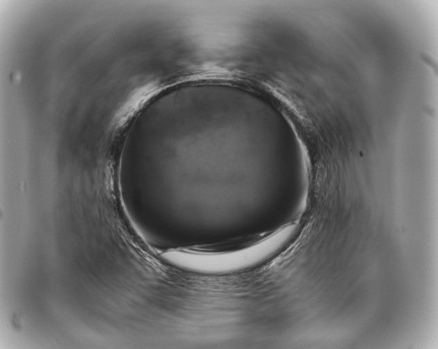 X0000097001455200802221510