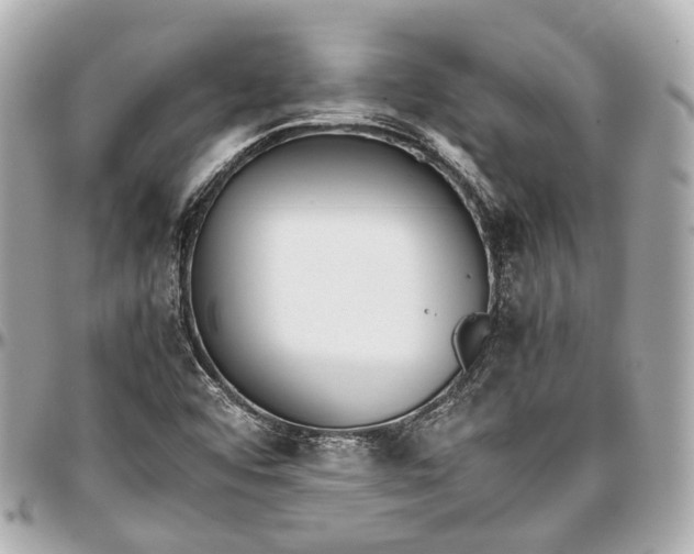 X0000097001456200802221510