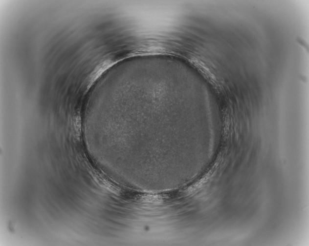 X0000097001457200802221510