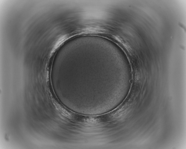 X0000097001459200802221510