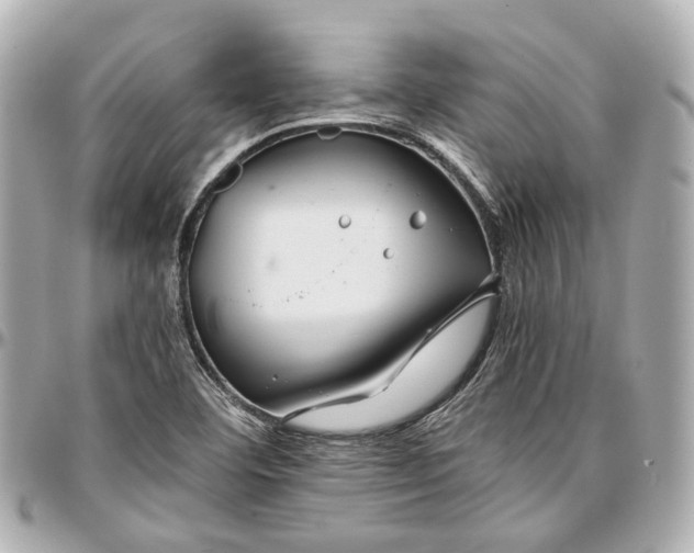 X0000097001460200802221510