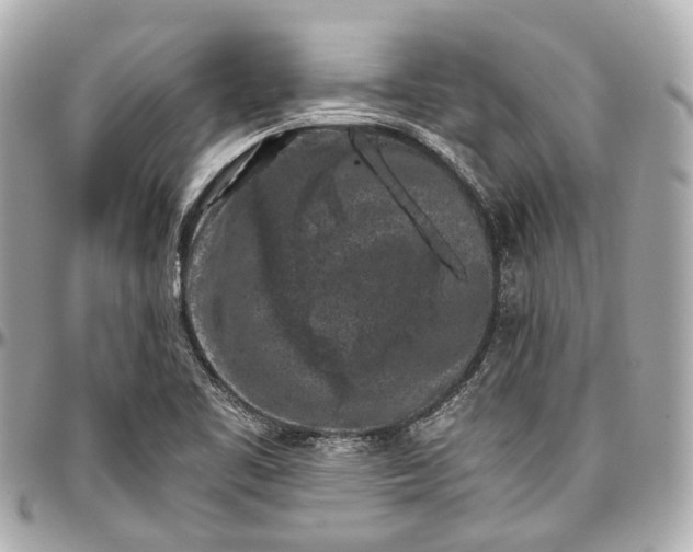 X0000097001461200802221510