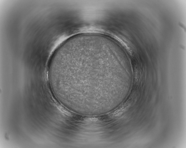 X0000097001462200802221510