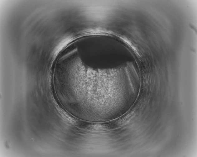 X0000097001463200802221510