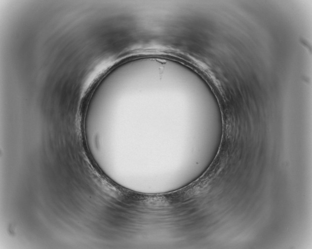 X0000097001464200802221510