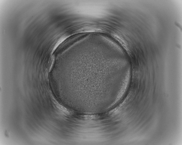 X0000097001465200802221510