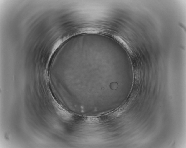 X0000097001466200802221510