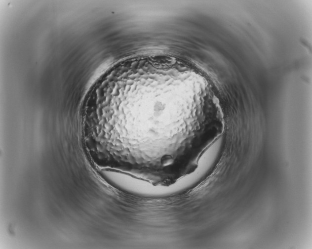 X0000097001467200802221510