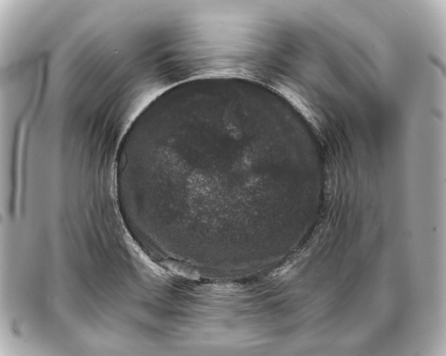 X0000097001468200802221510