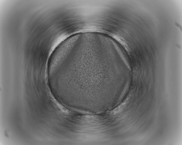 X0000097001469200802221510