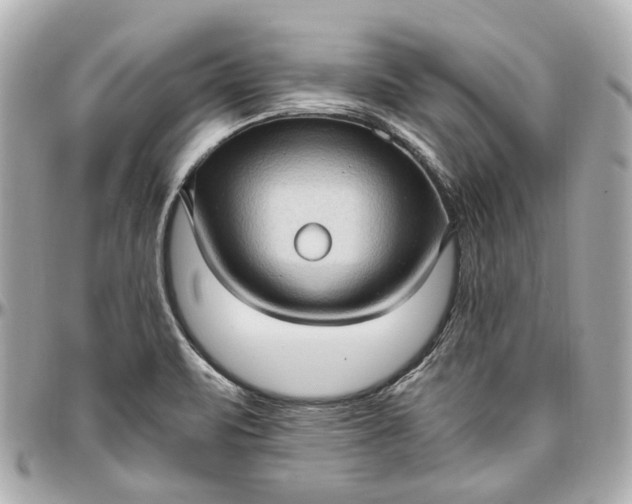 X0000097001471200802221510