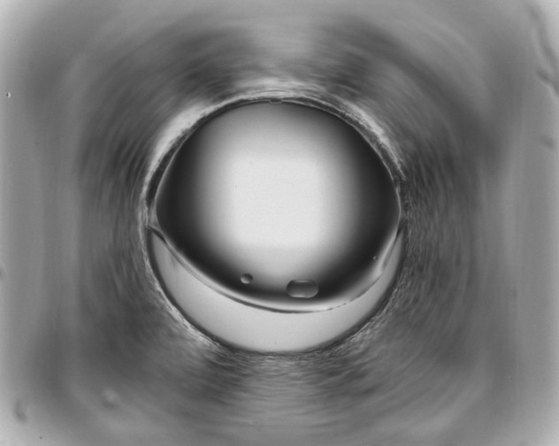 X0000097001472200802221510