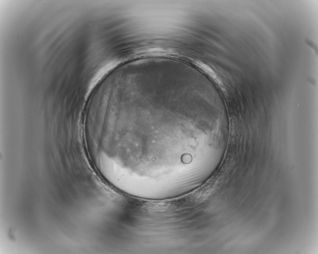 X0000097001474200802221510