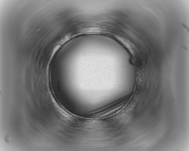 X0000097001475200802221510