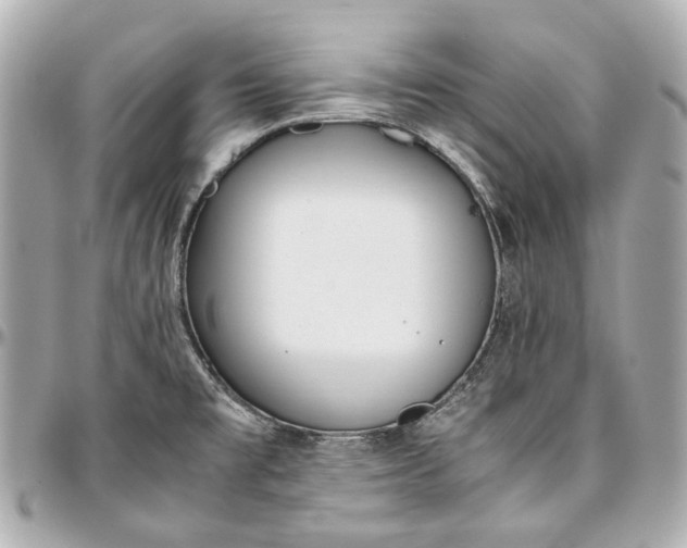 X0000097001477200802221510