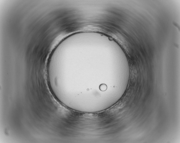 X0000097001478200802221510