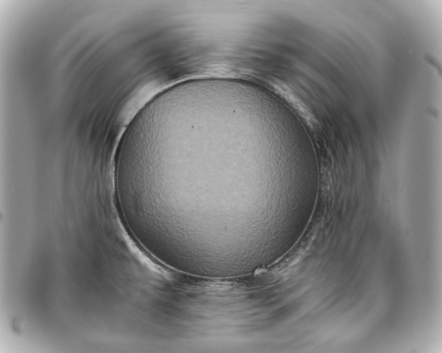 X0000097001479200802221510