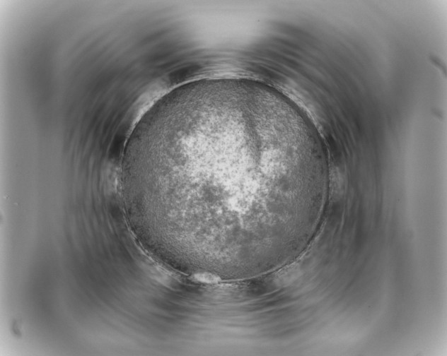 X0000097001481200802221510