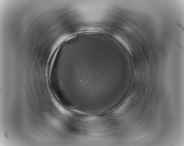 X0000097001482200802221510