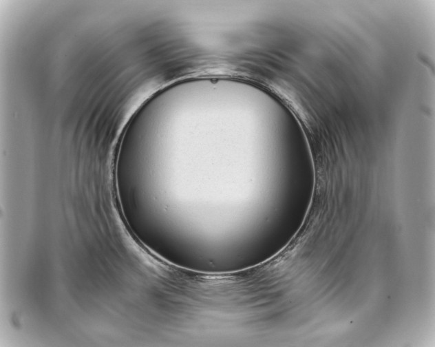 X0000097001483200802221510