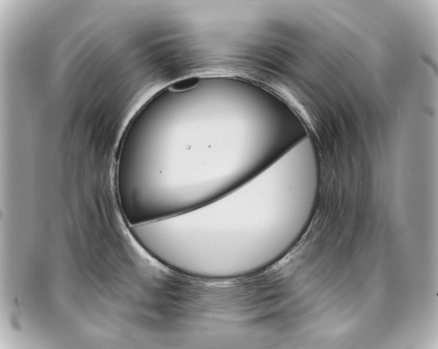 X0000097001484200802221510