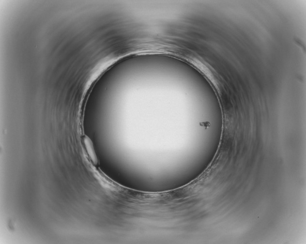 X0000097001485200802221510