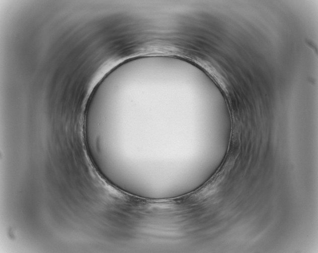 X0000097001486200802221510