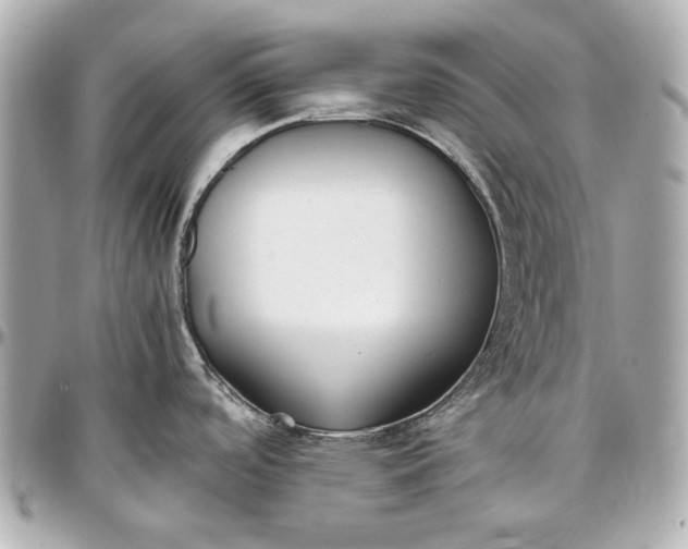 X0000097001488200802221510