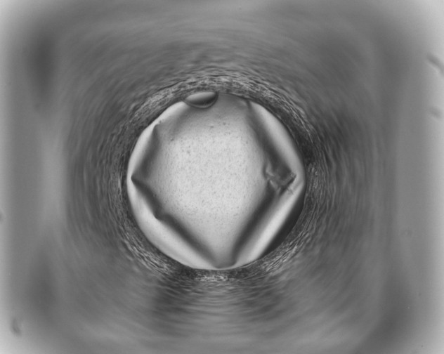 X0000097001489200802221509