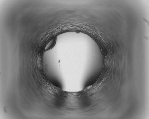 X0000097001490200802221509