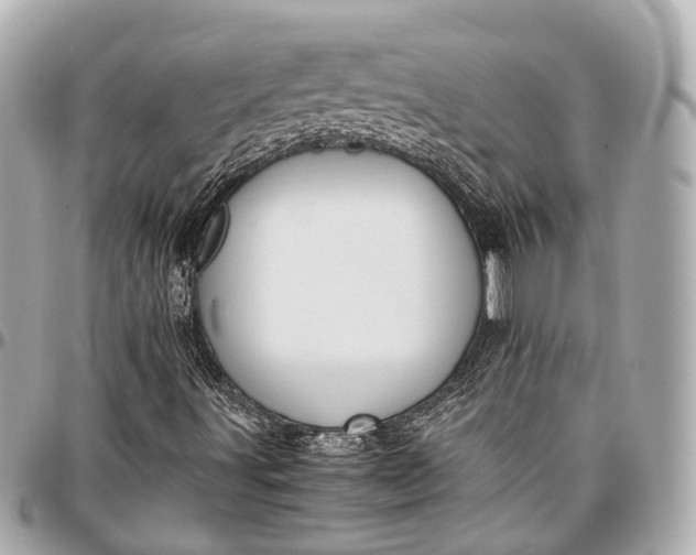 X0000097001491200802221509